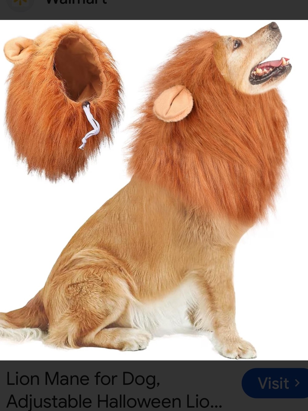 NEW Lion Dog Costume MANE and TAIL SET funny Halloween Cat Safari Jungle, M L